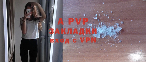СК Козловка